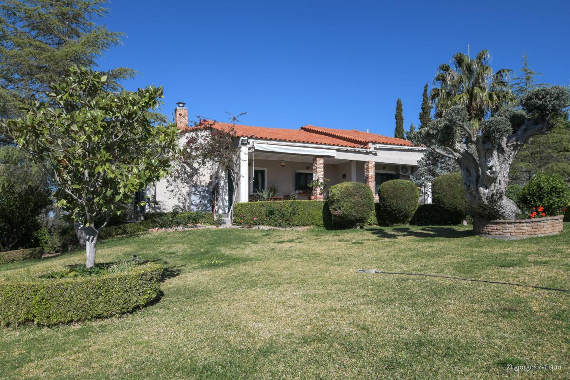 Nerotrivia Villa - Ocean Panorama And Lush Gardens Exterior foto